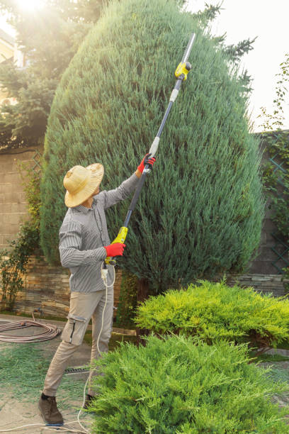 Lawn Grading and Leveling in Trevorton, PA